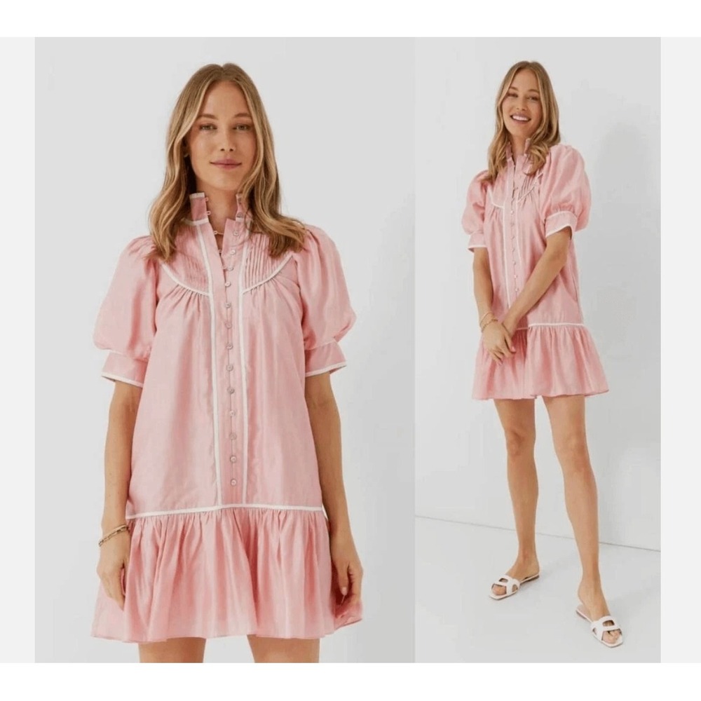 Pomanderโ Place Pink Puff Sleeve Dress Womens Med Pleated Drop Waist Tuckernuck
